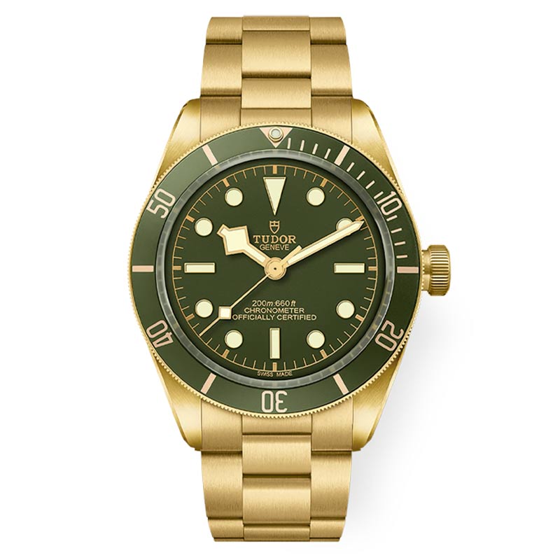 Tudor Black Bay 58 18K M79018V 0006 1