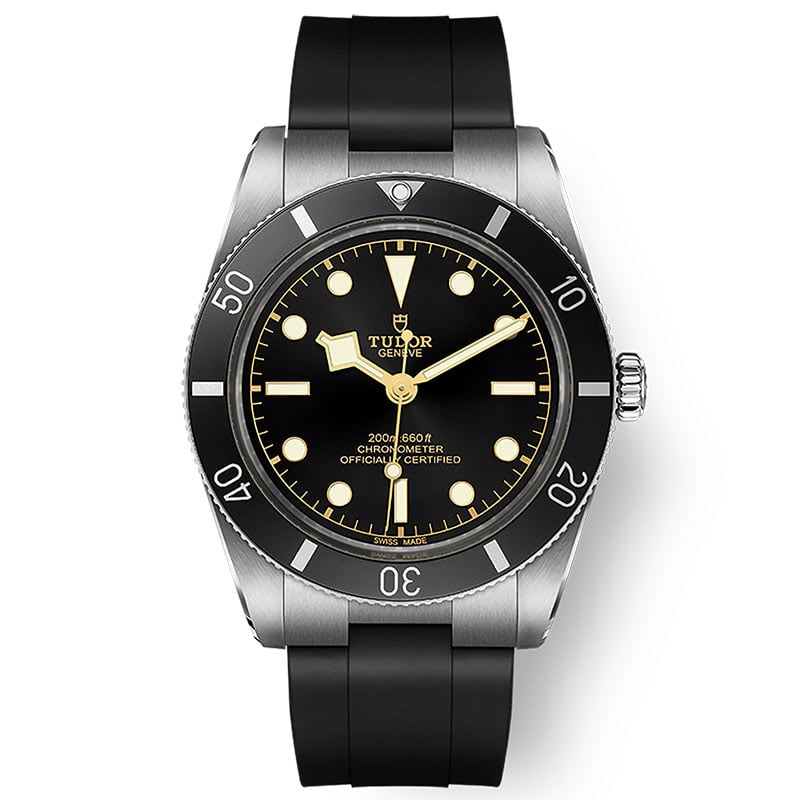 Tudor Black Bay 54 M79000N-0002