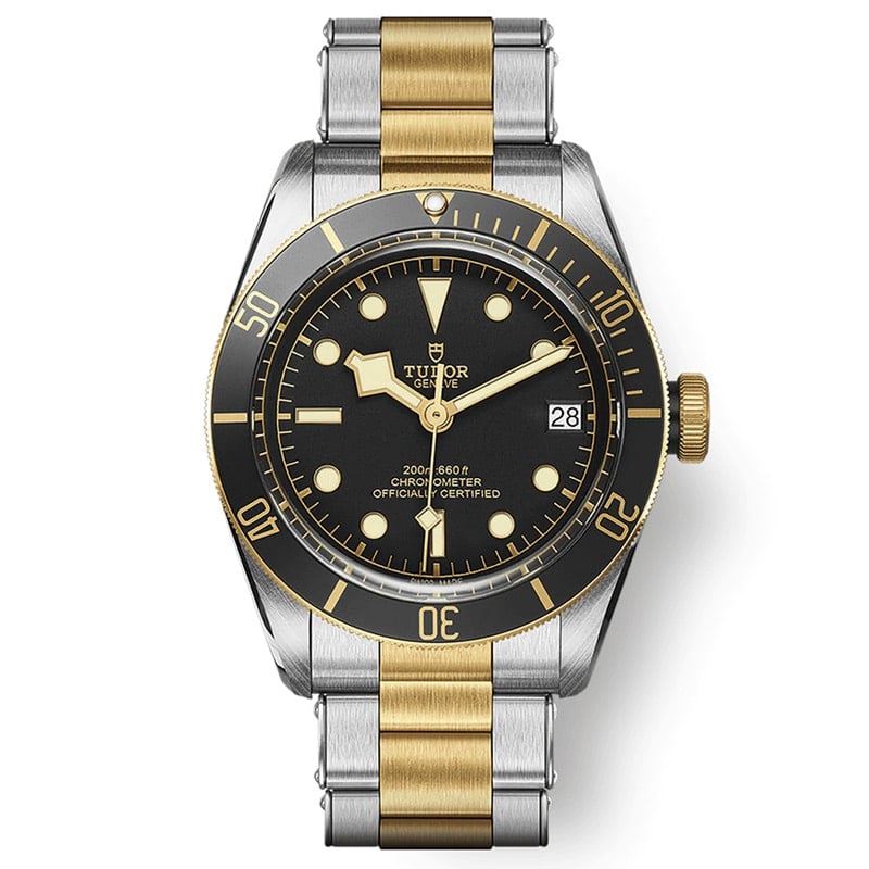 Tudor Black Bay 41 S&G M79733N-0008